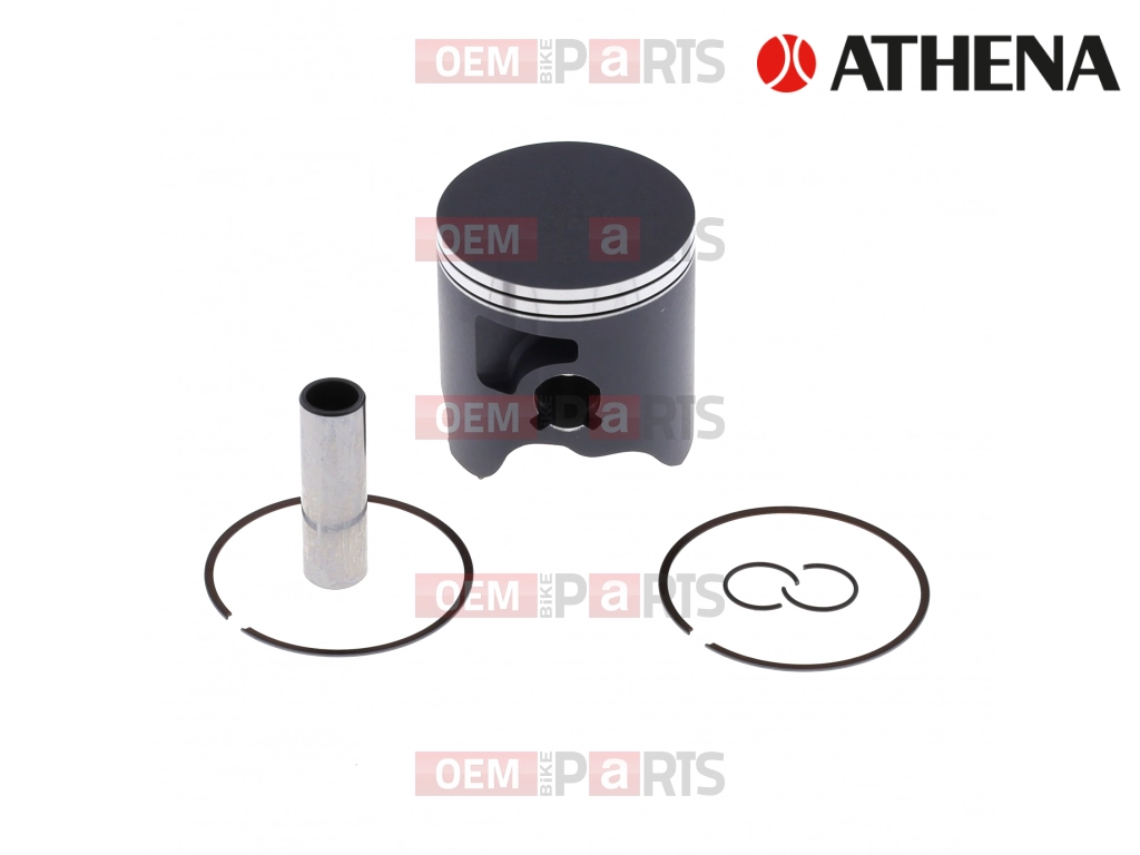 Bat (71.96 mm - D)