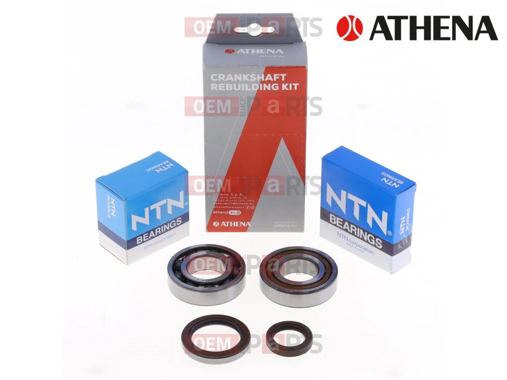 Kit Revisione Albero Motore: Kit Cuscinetti e Paraolio