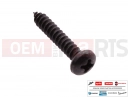 PIAGGIO Beverly 125 75 pc - 014754 - Vis