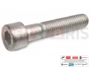 MOTOGUZZI V85 TT Strada E5+ (EU) 10 pc - 149104 - Vis