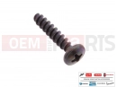 PIAGGIO 10 pc - 227983 - Vis