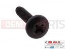 PIAGGIO 10 pc - 271891 - Vis
