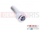 PIAGGIO Beverly 500 Cruiser 200 pc - 709099 - Vis