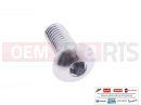 PIAGGIO 100 pc - 831153 - Vis