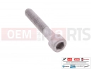 MOTOGUZZI V85 TT Strada E5+ (EU) 10 pc - AP8150285 - Vis
