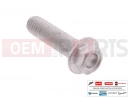 MOTOGUZZI V85 TT Strada E5+ (EU) 10 pc - AP8152288 - Vis