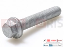 PIAGGIO Fly 125 5 pc - B016805 - Vis