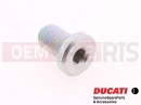 DUCATI 2007 Multistrada 1100 2 pc - 77911622A - Vis
