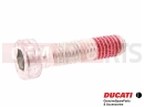 DUCATI 2024 Multistrada V4 RS 5 pc - 77310021A - Vis