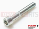 DUCATI 2009 Monster 1100 5 pc - 77150738B - Vis