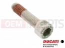 DUCATI 2009 Monster 1100 5 pc - 77110518B - Vis