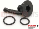 DUCATI 2014 Diavel STRADA 77140141A - Vis