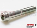 DUCATI 2024 Multistrada V4 RS 2 pc - 77156728B - Vis