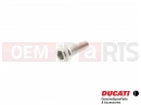 DUCATI 2011 Multistrada 1200 2 pc - 77156668B - Vis