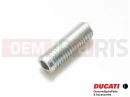 DUCATI 2024 Multistrada V4 RS 2 pc - 77910991B - Vis