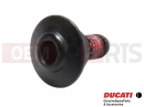 DUCATI 2024 Multistrada V4 RS 5 pc - 77214411BA - Vis