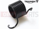 T1170234 - Return spring