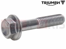 Triumph 2010 SPEEDMASTER EFI T3200601 - Vis