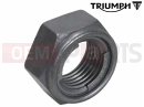Triumph 2014 THUNDERBIRD COMMANDER T3350155 - Locknut, Thin, M16