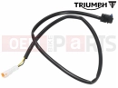 Triumph 2016 THRUXTON R T2024946 - Microswitch