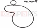 Triumph 2023 Rocket 3 R T2101608 - Seal, Water Pump Housing