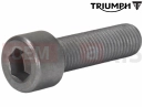 Triumph 2013 SPEEDMASTER EFI T3203206 - Vis