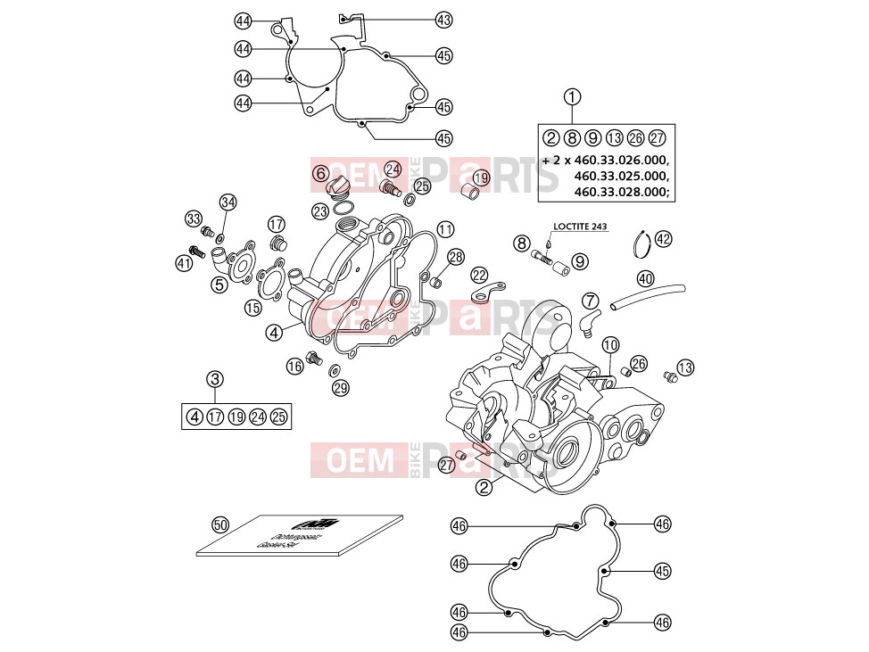 KTM 65 SX (600126) [EU] 2002 ENGINE CASE|Engine|30