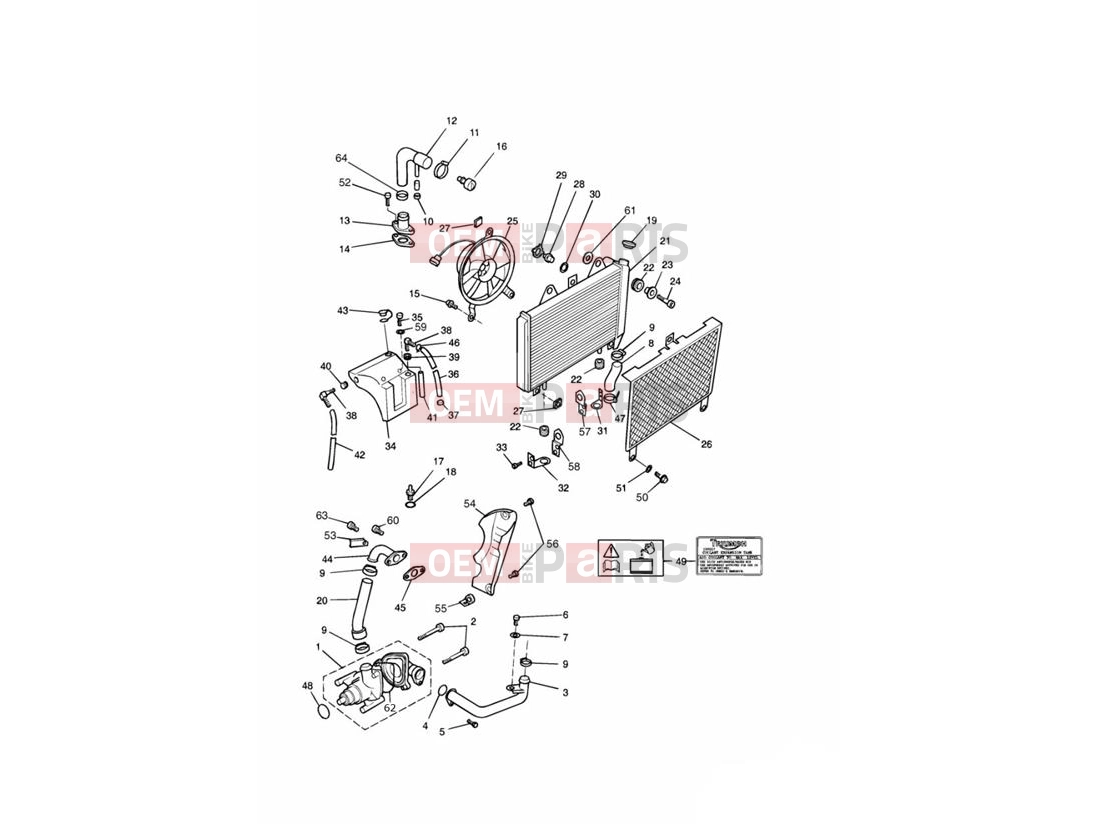 Triumph 1996 SPRINT CARBS Cooling System