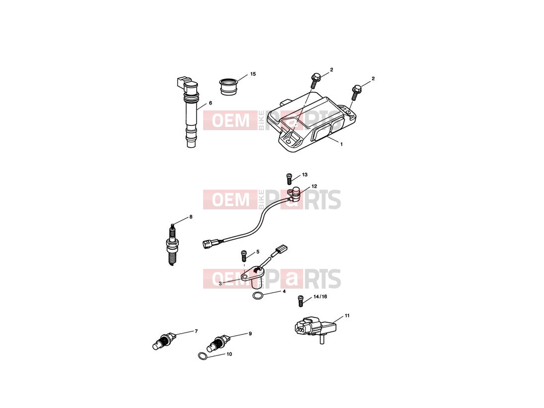 Triumph 2007 SPRINT ST 208167 > Engine Management System