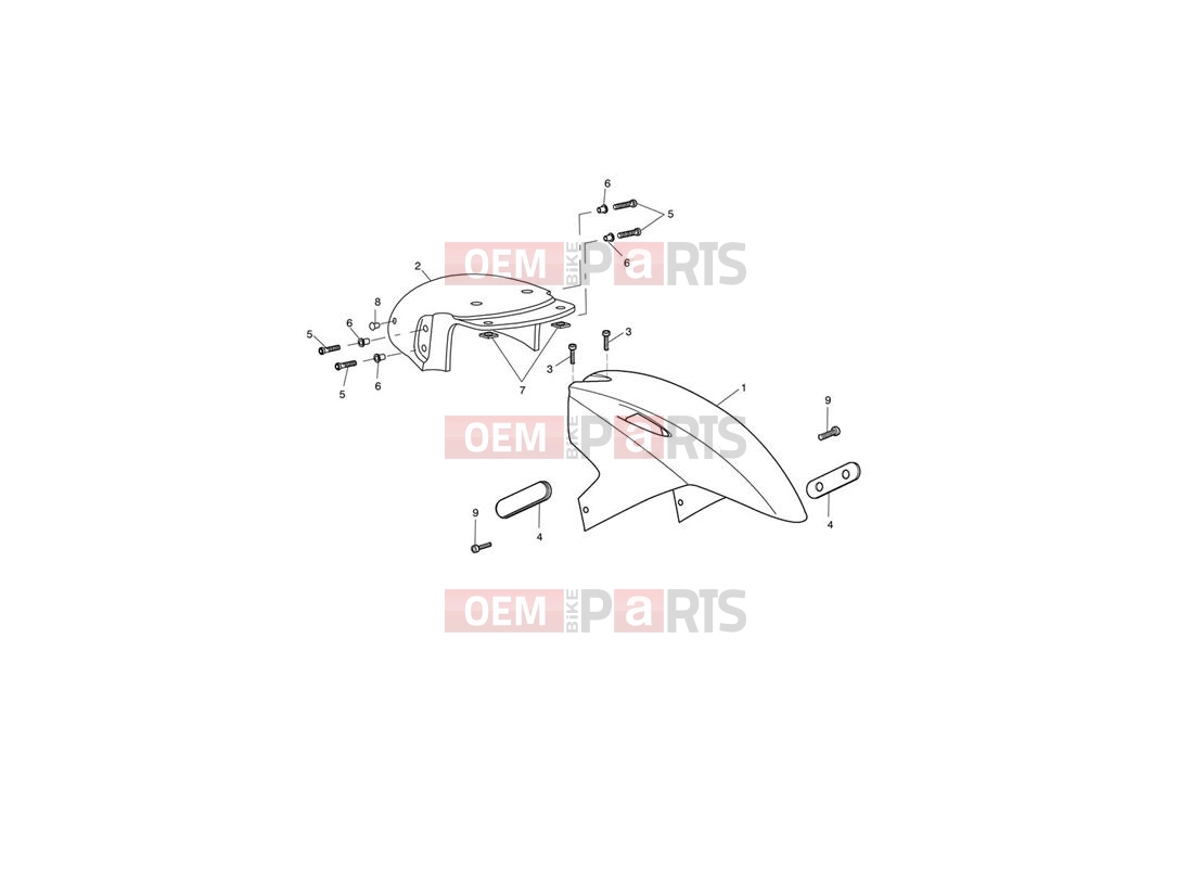 Triumph 2012 SPRINT GT Front Mudguard