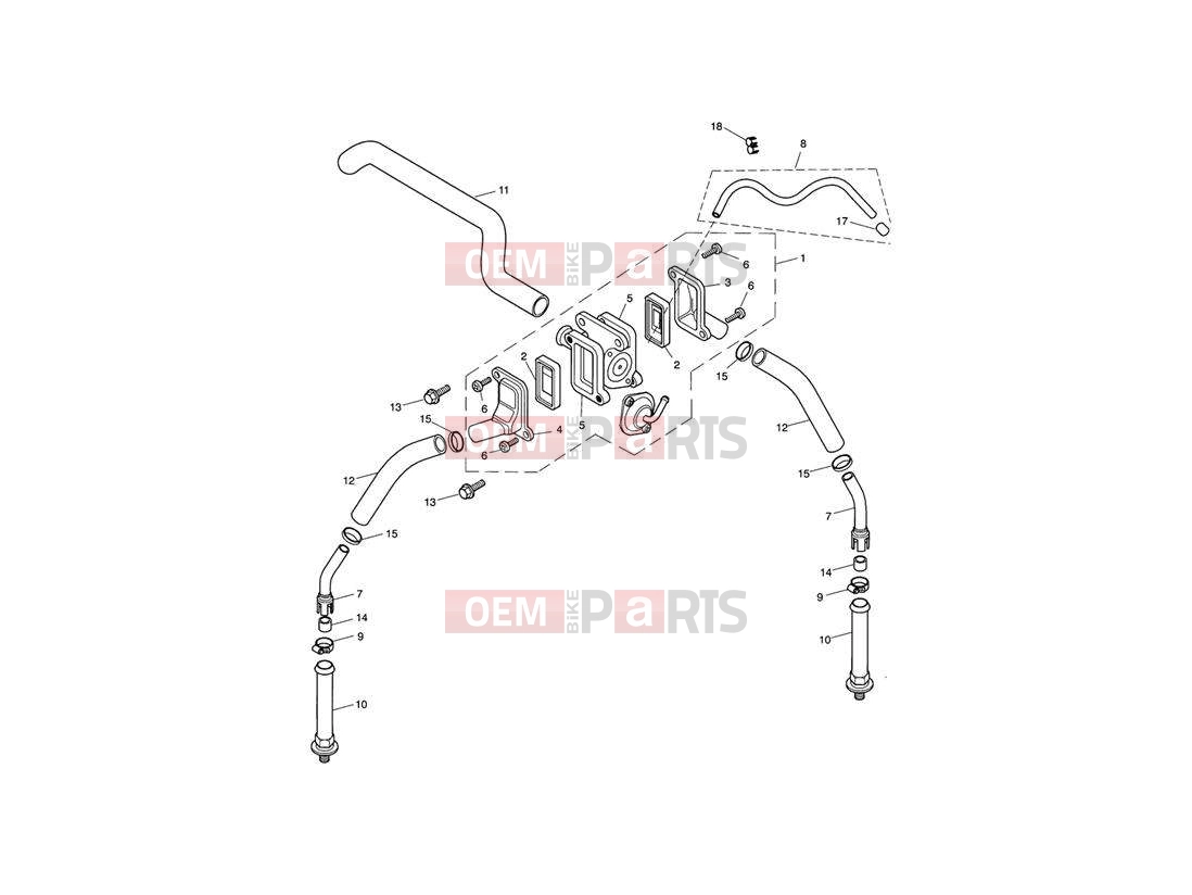 Triumph 2005 SPEEDMASTER CARBS Emissions Control
