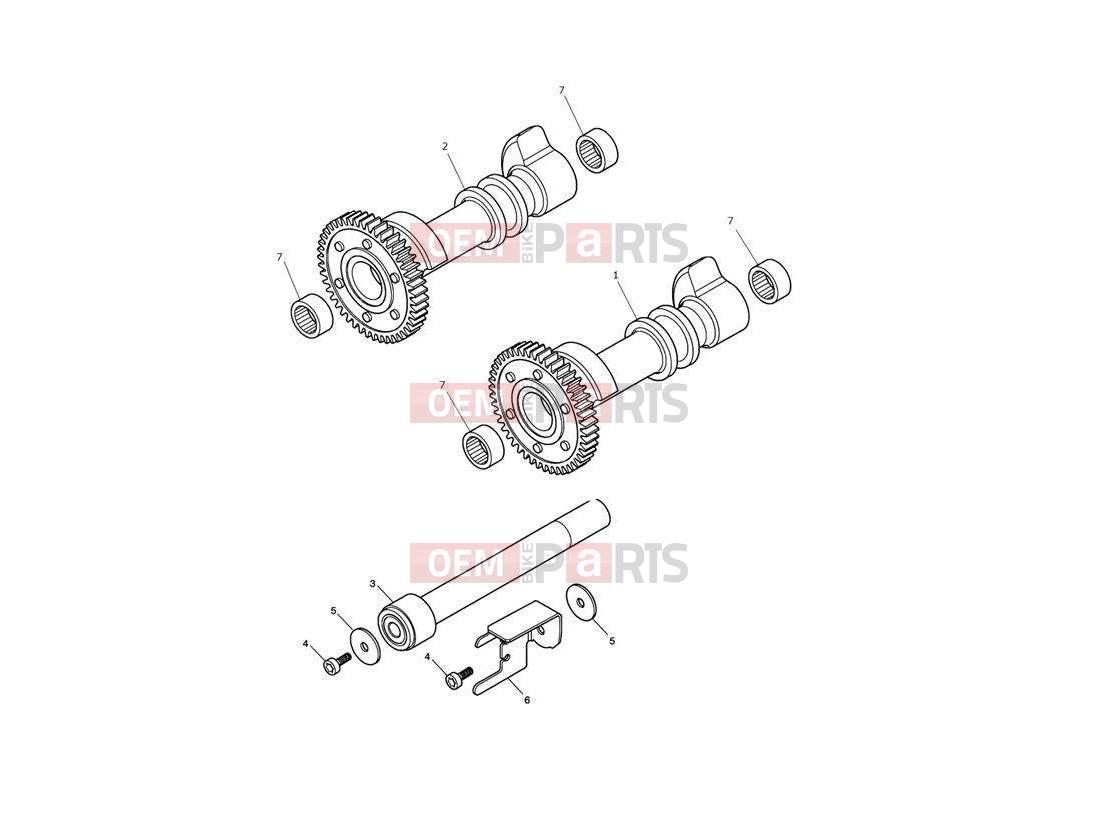 Triumph 2009 SPEEDMASTER EFI Balancer