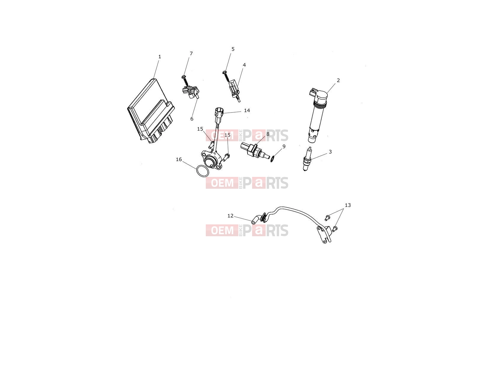 Triumph 2018 TIGER 1200 XCA Engine Management System