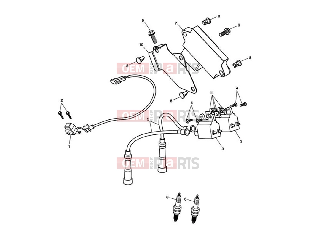 Triumph 2006 SCRAMBLER CARB Ignition System
