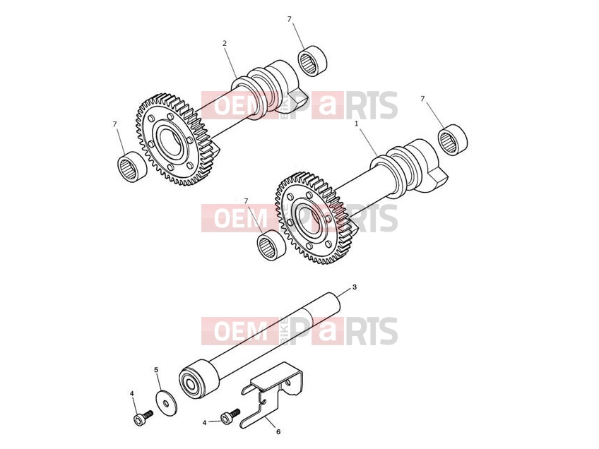 Triumph 2008 SCRAMBLER EFI Balancer