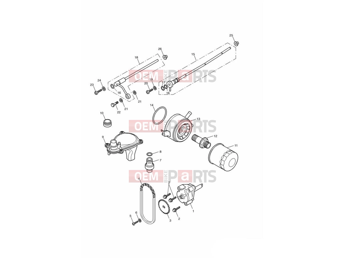 Triumph 2000 TT600 Lubrication System