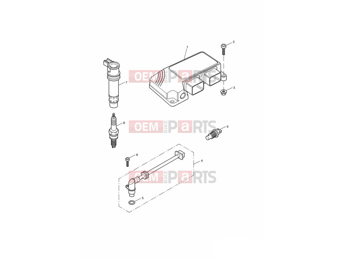 Triumph 2002 TT600 Engine Management System