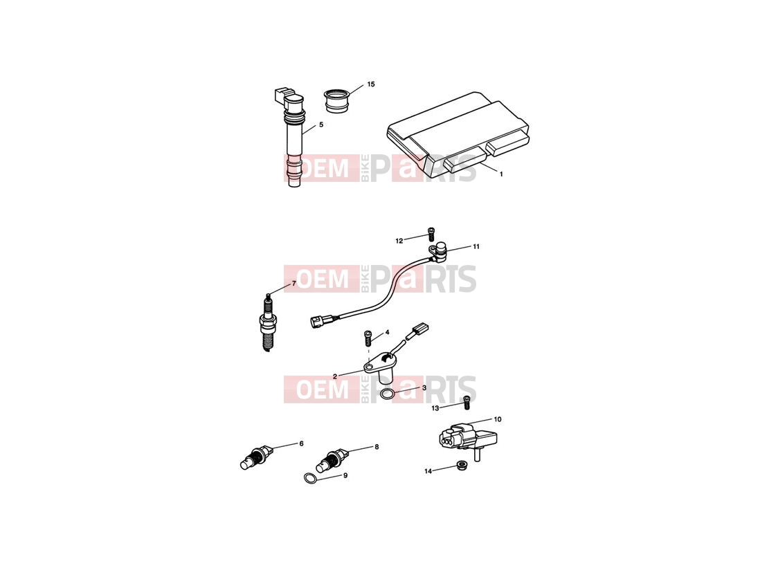 Triumph 2007 Tiger 1050 Engine Management System
