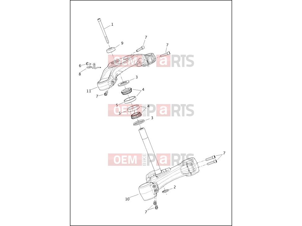Harley-Davidson 2021 SOFTAIL SOFTAIL SOFTAIL STANDARD  - FXST FORK BRACKETS, FRONT - FXBRS