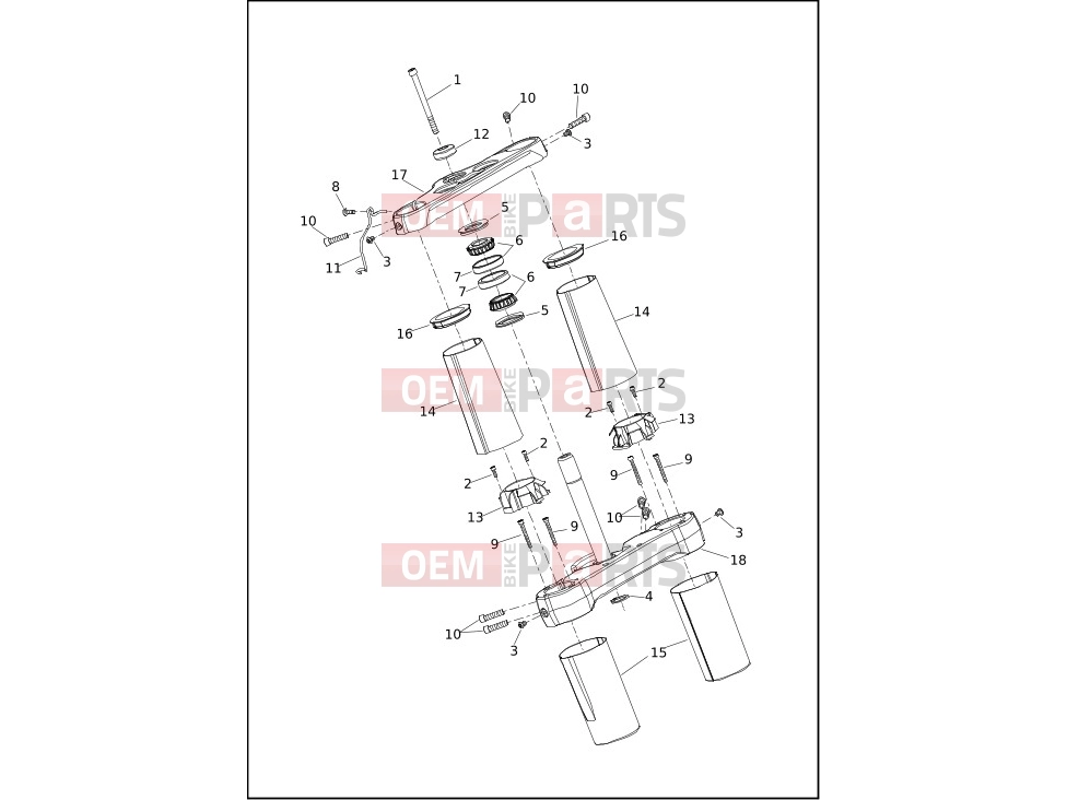 Harley-Davidson 2020 SOFTAIL SOFTAIL FXDR 114  - FXDRS FORK BRACKETS, FRONT - FLSL