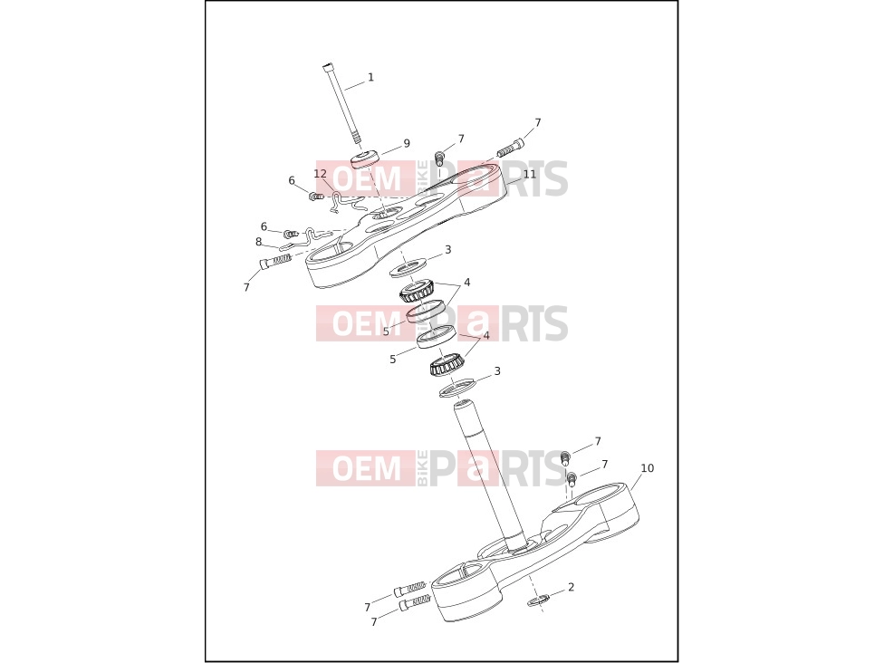 Harley-Davidson 2019 SOFTAIL SOFTAIL BREAKOUT  - FXBR FORK BRACKETS, FRONT - FLSB