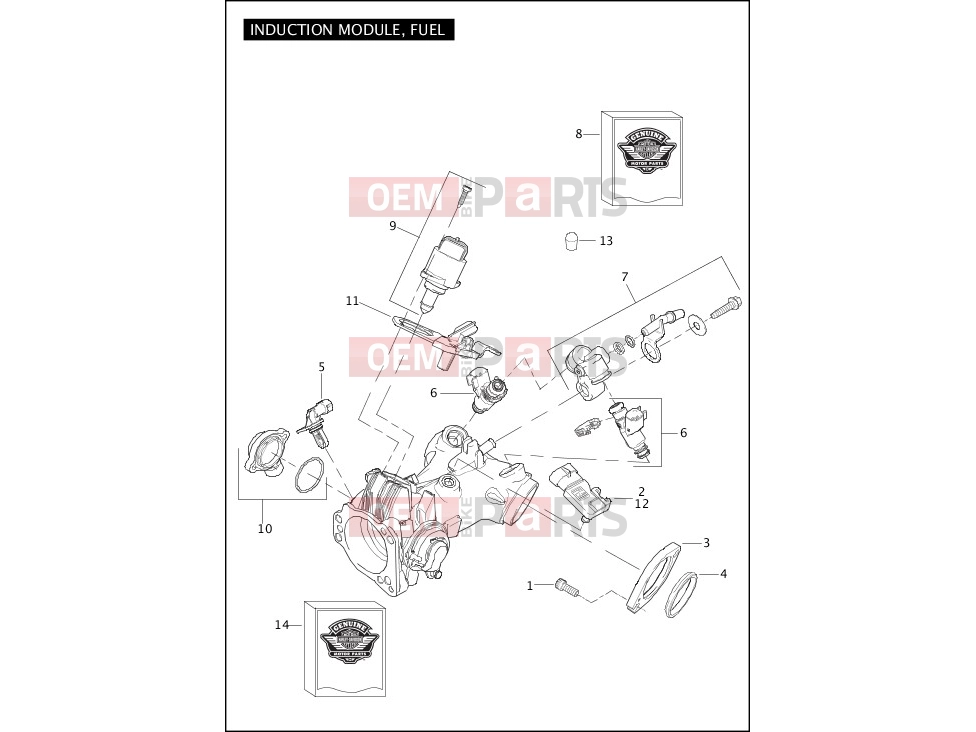 Harley-Davidson 2012 SOFTAIL BLACKLINE  - FXS INDUCTION MODULE, FUEL