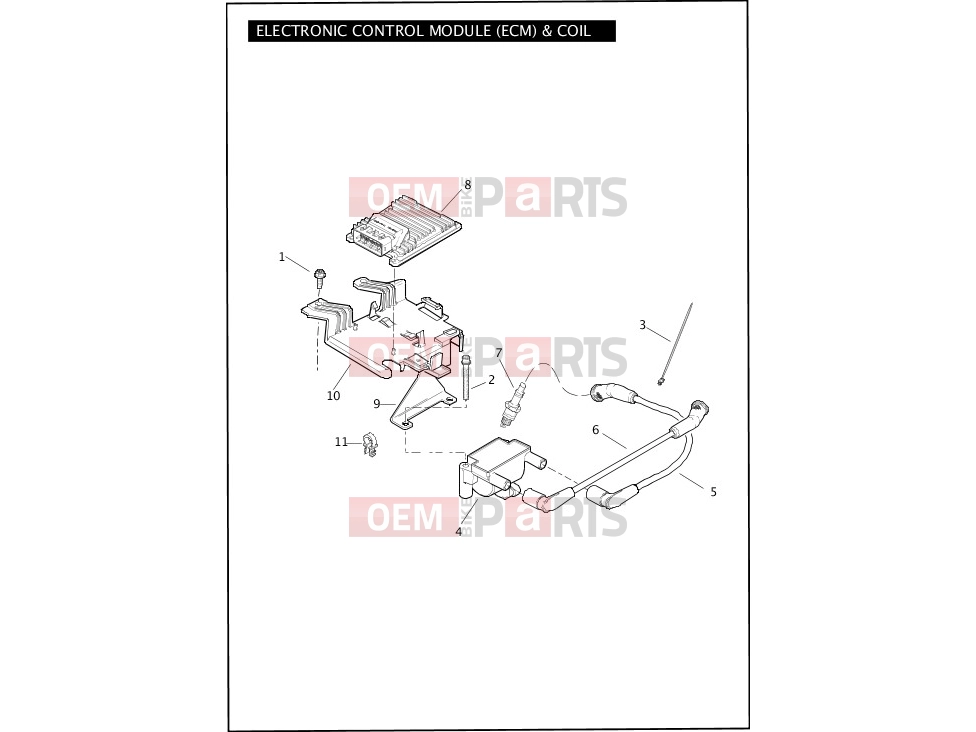 Harley-Davidson 2012 TOURING ELECTRA GLIDE CLASSIC  - FLHTC ELECTRONIC CONTROL MODULE (ECM) & COIL