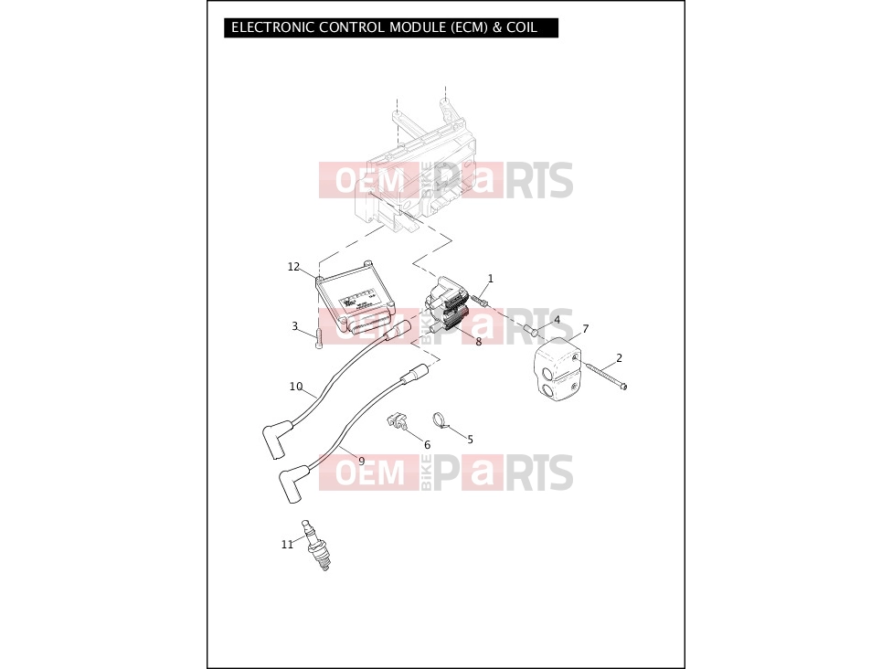 Harley-Davidson 2011 DYNA DYNA SUPER GLIDE CUSTOM  - FXDC ELECTRONIC CONTROL MODULE (ECM) & COIL