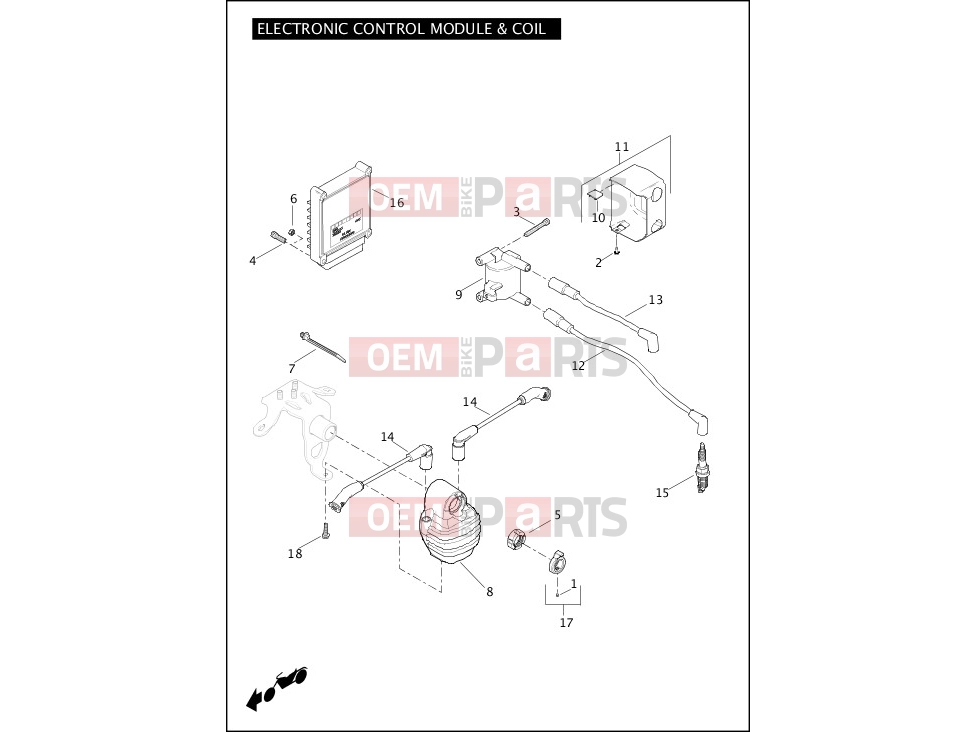 Harley-Davidson 2011 SOFTAIL SOFTAIL STANDARD  - FXST ELECTRONIC CONTROL MODULE (ECM) & COIL