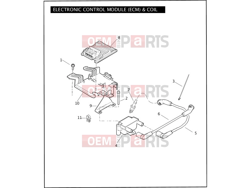 Harley-Davidson 2010 TOURING ULTRA CLASSIC  - FLHTCU ELECTRONIC CONTROL MODULE (ECM) & COIL