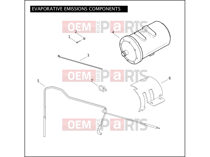 Harley-Davidson 2007 SOFTAIL NIGHT TRAIN  - FXSTB EVAPORATIVE EMISSIONS COMPONENTS