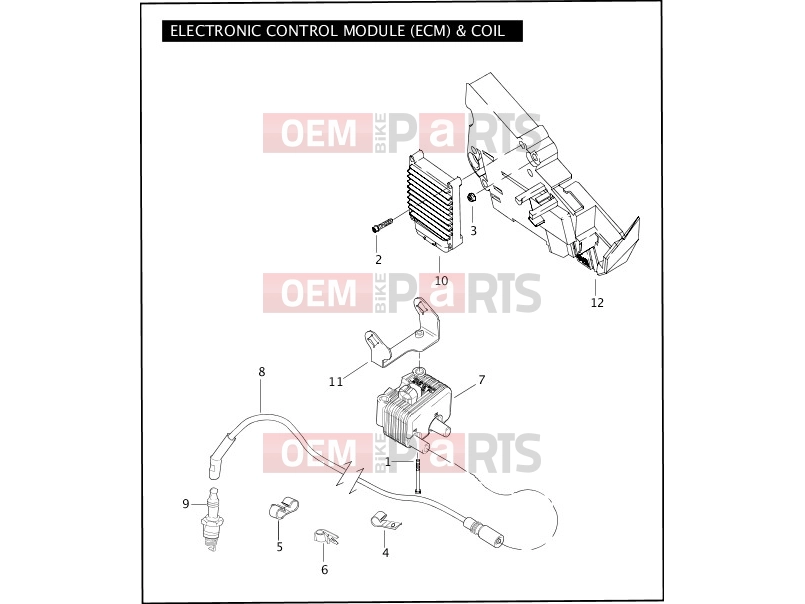 Harley-Davidson 2007 TOURING ELECTRA GLIDE CLASSIC  - FLHTC ELECTRONIC CONTROL MODULE (ECM) & COIL
