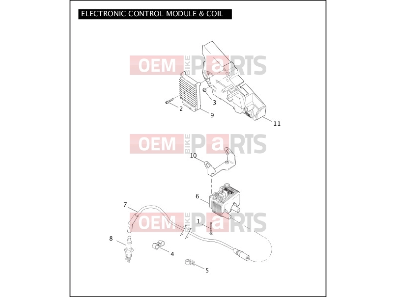 Harley-Davidson 2004 CVO/CUSTOM CVO ELECTRA GLIDE  - FLHTCSE ELECTRONIC CONTROL MODULE & COIL