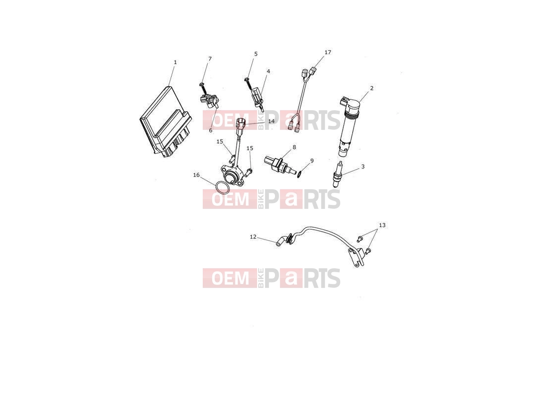 Triumph 2014 TROPHY 1215 SE Engine Management System